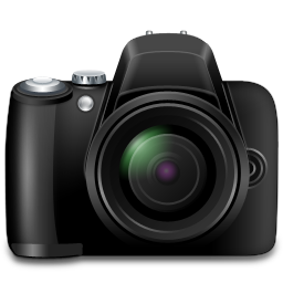 photos